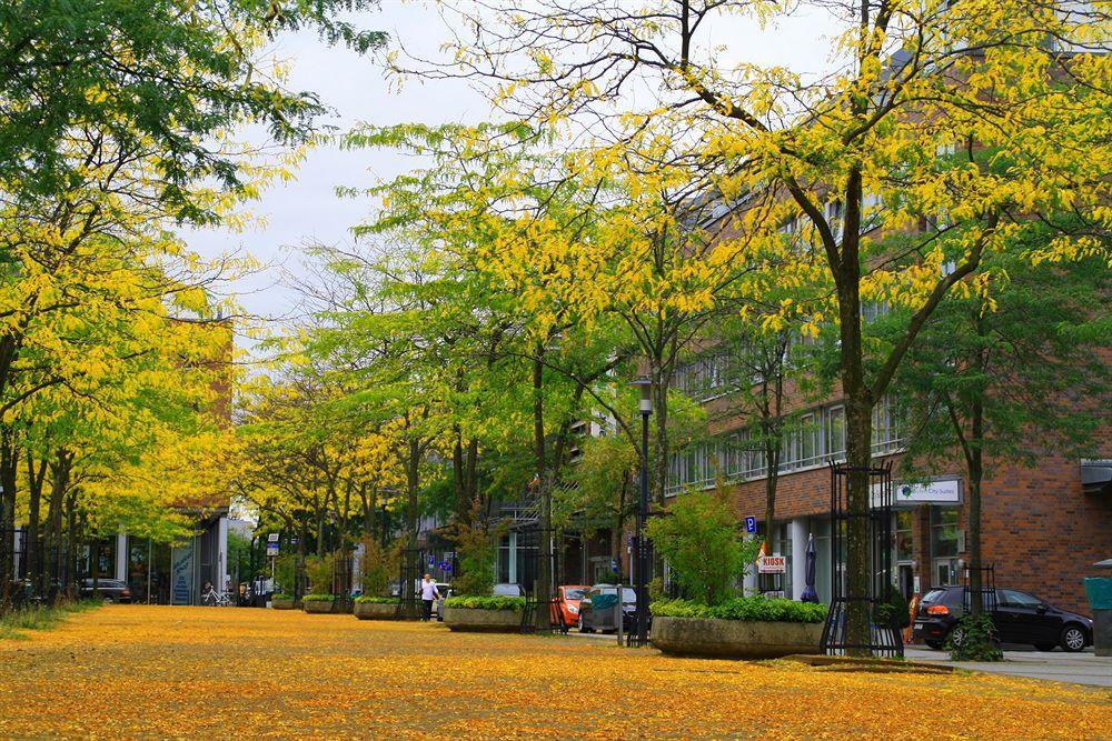 Essen City Suites 외부 사진